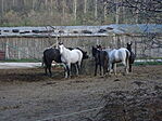 DSC00071