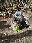 DSC00001