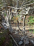DSC00010