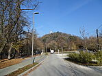 DSC00074