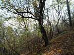 DSC00079