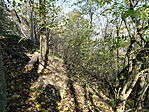 DSC00080