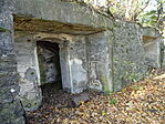 DSC00081