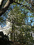 DSC00082