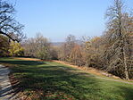 DSC00099