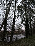 DSC00390