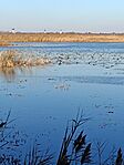 IMG_20241123_140416