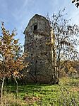 IMG_5798