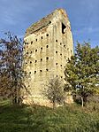 IMG_5803
