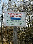 Körtefa