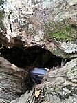 IMG_20240627_154519