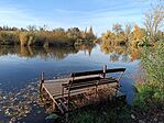 IMG_20241103_145014
