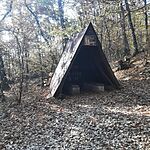 20241110_123209.heic