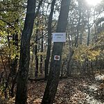 20241110_123915.heic