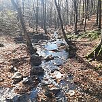 20241110_112335.heic