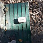 20241110_112549.heic
