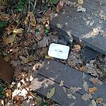 20241110_115519.heic