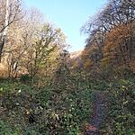 20241110_114835.heic