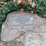 20241119_133320.heic