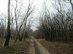 IMG_4656