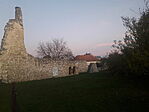 20241101_164200