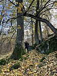 IMG_4551