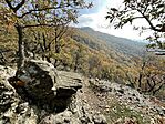 IMG_4538