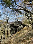 IMG_4542
