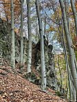 IMG_4607