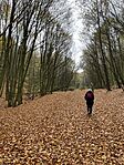 IMG_4676