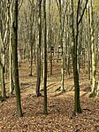 IMG_4678