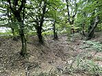 IMG_3090