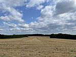 IMG_3091