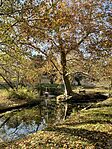 IMG_4936