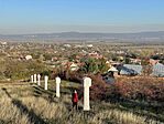 IMG_4952