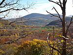 DSC09830
