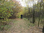 DSC09801