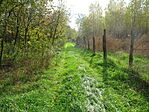 DSC09802