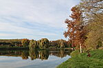 HMG_6507