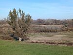 IMG_20241109_132304_223