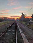 IMG_20241109_161409_822