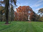 IMG_20241109_152417_269