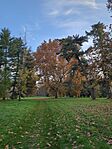 IMG_20241109_152111_135