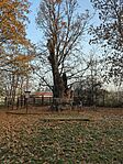 IMG_20241110_074253_300.jpg_compressed