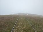 IMG_20241117_080348_555