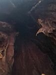 IMG_20241124_113858_032.jpg_compressed