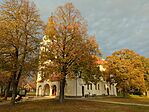 IMG_20241124_150722_465.jpg_compressed