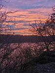 IMG_20241124_064702_997.jpg_compressed