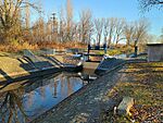 IMG_20241130_082505_609.jpg_compressed