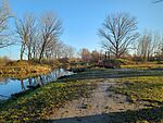 IMG_20241130_082626_762.jpg_compressed